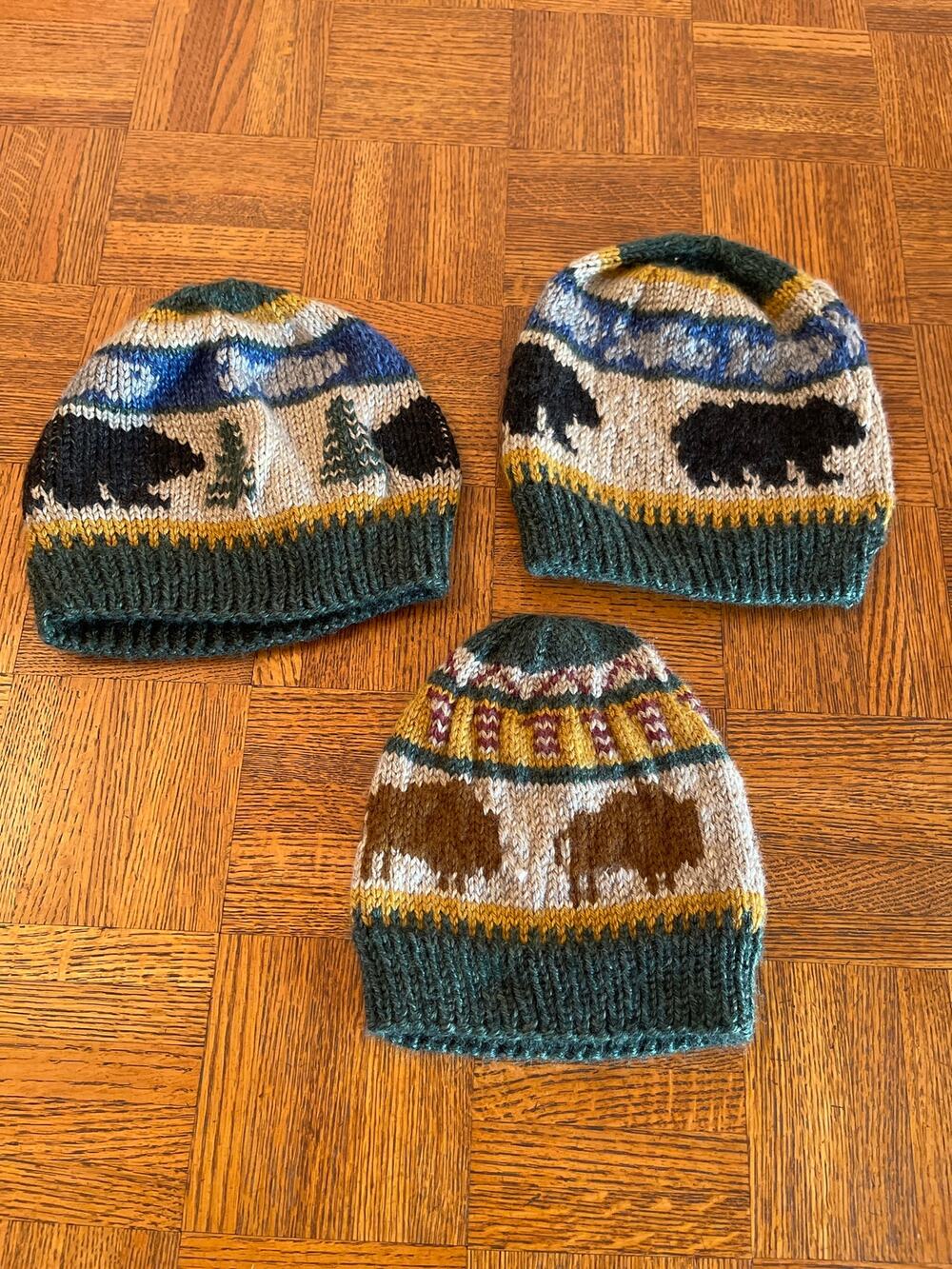Set a three national Park themed beanies
